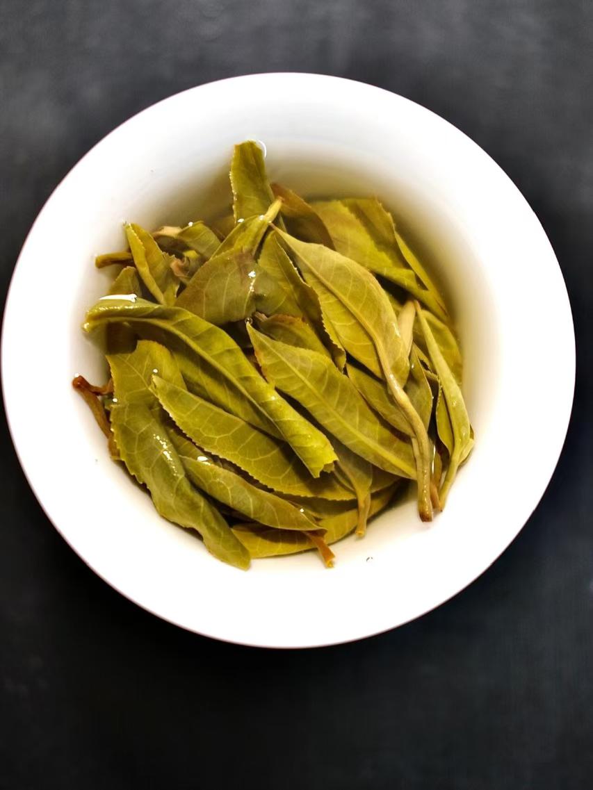 云南普洱茶通用链接--14