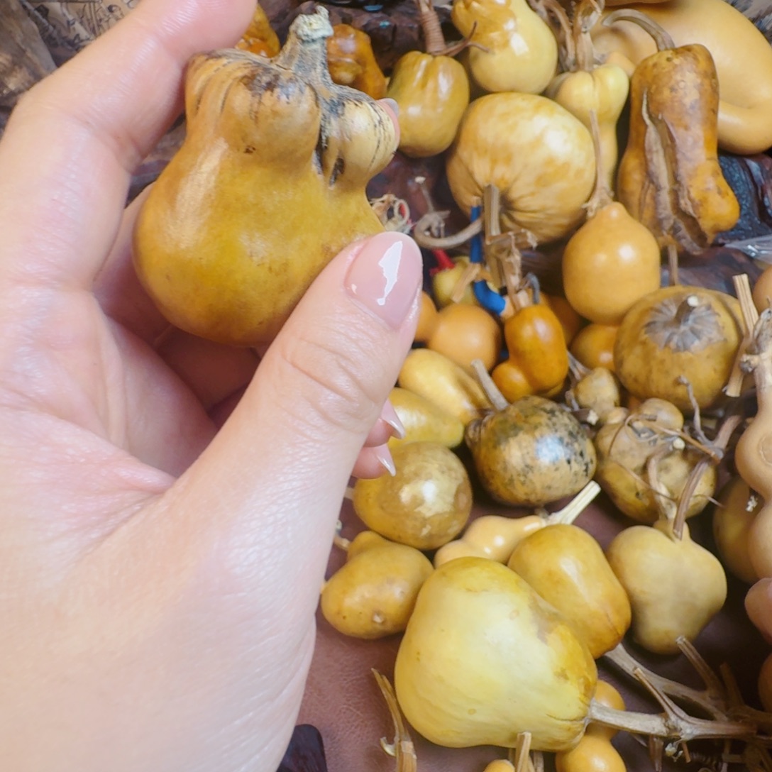 焱***曦输入兔兔图。  我以为 你