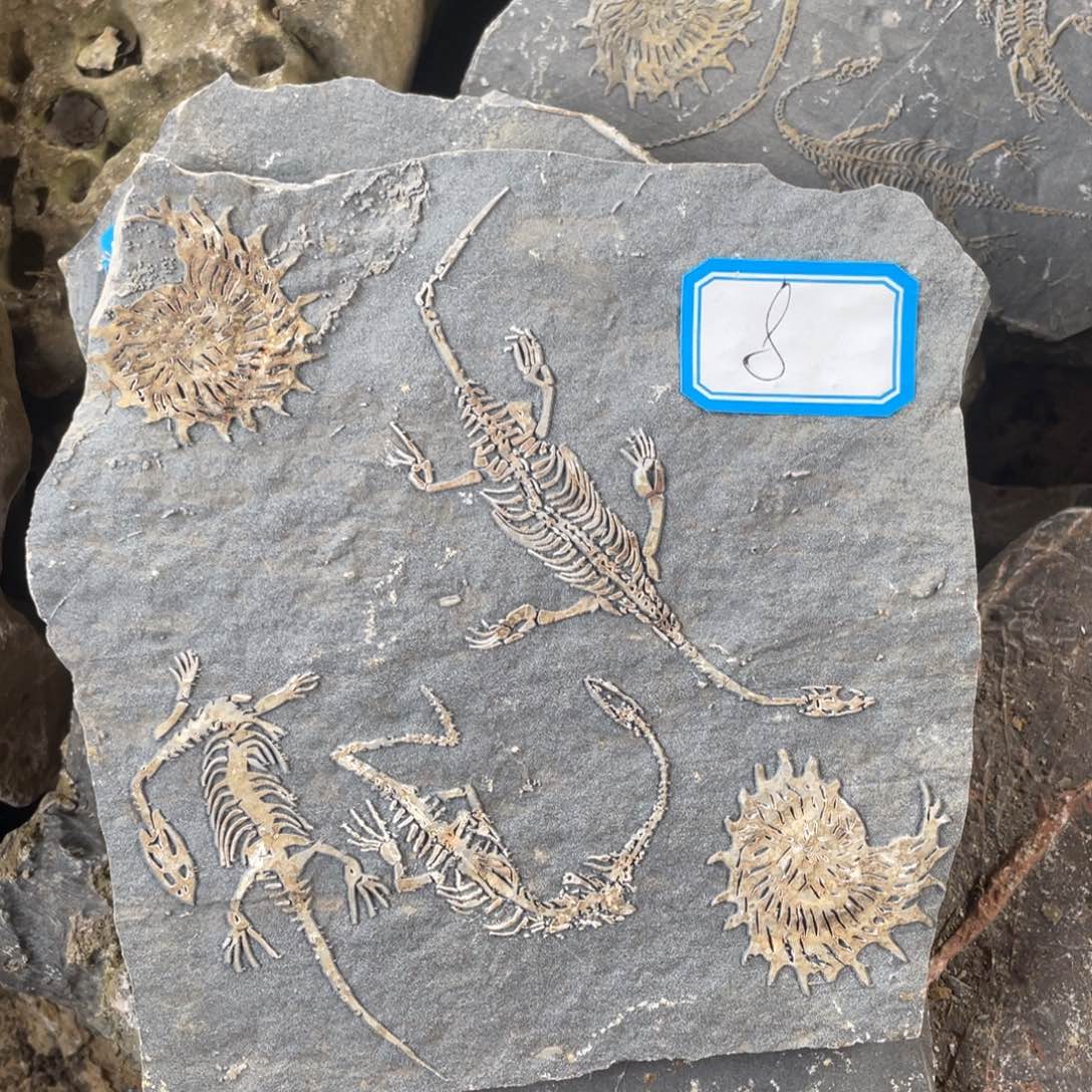 石材888888888888888