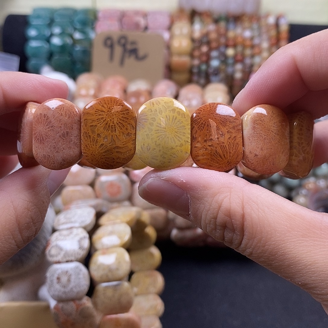 硅化珊瑚（珊瑚玉）未镶嵌运费3