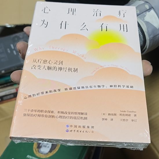 心理治疗为什呢有用平装