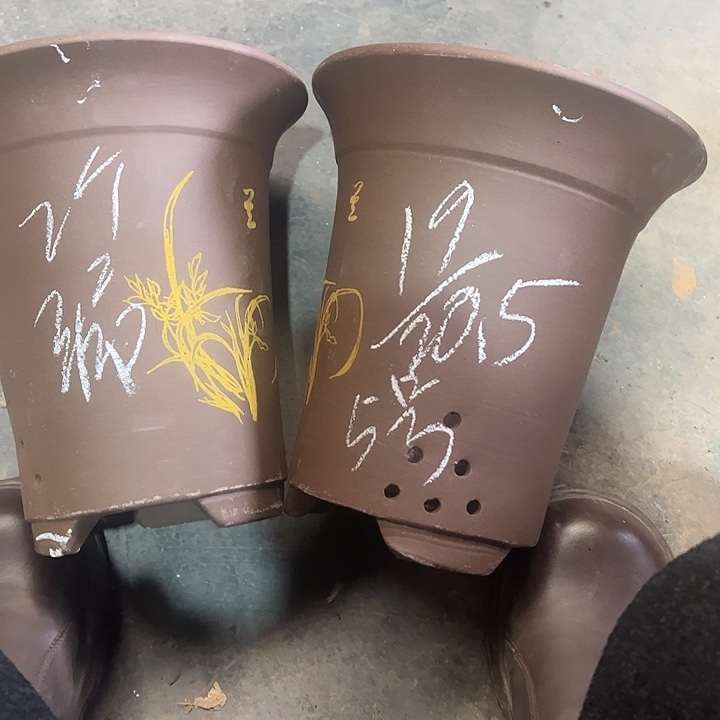 5号，宜兴紫砂花盆特惠