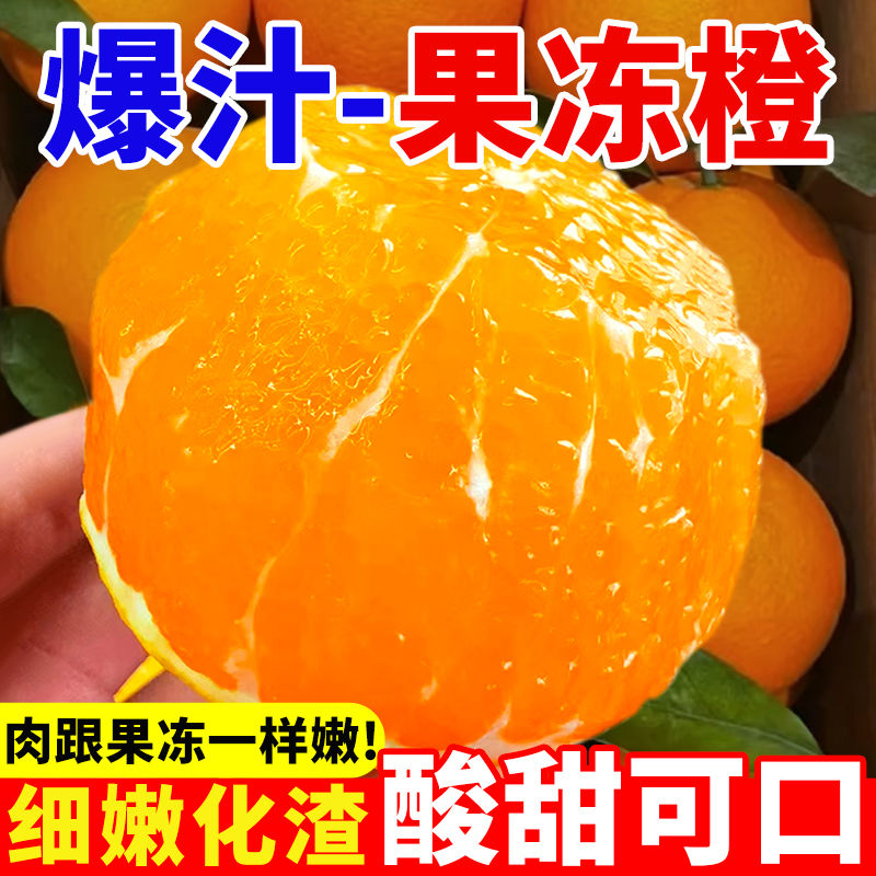 四川青见果冻橙2斤/4.5斤8斤新鲜采摘现摘现发柑橘橘子网红水果7