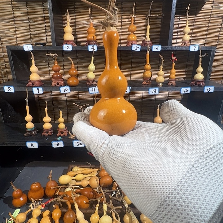 ****摇蚂蚁蚂蚁蚂蚁蚂蚁