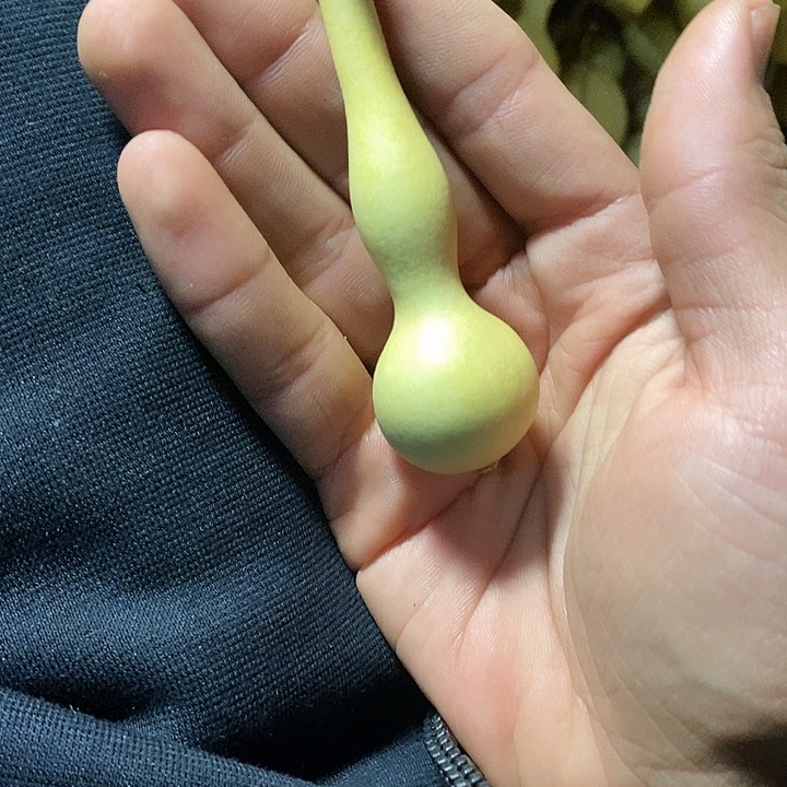 听**蝉我是，不图任何