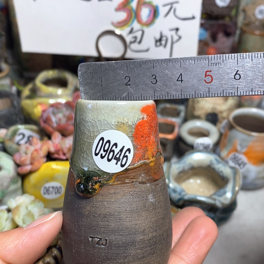 花盆拍5送一个小礼物