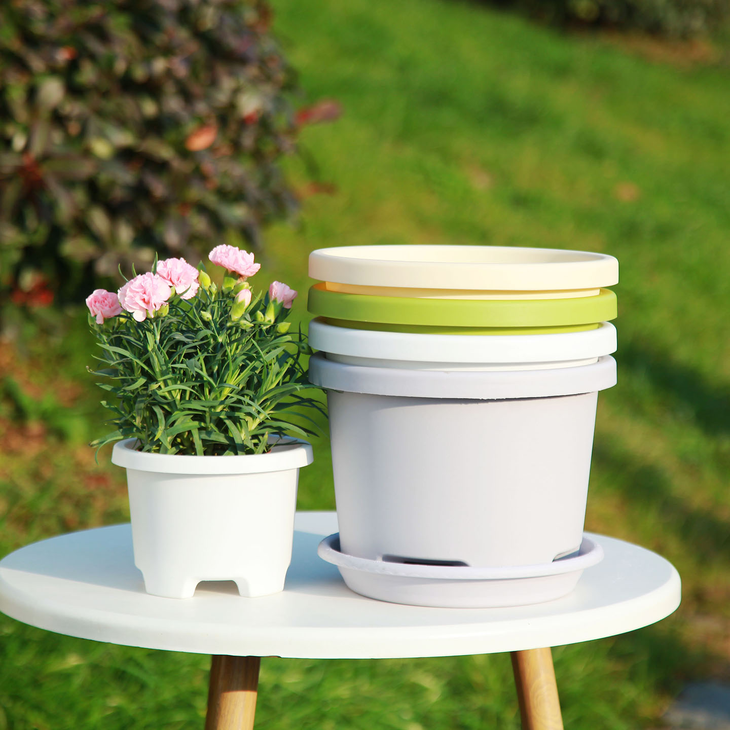 控根球根盆 大花盆阳台百合郁金香朱顶红矮胖种植盆家用庭院