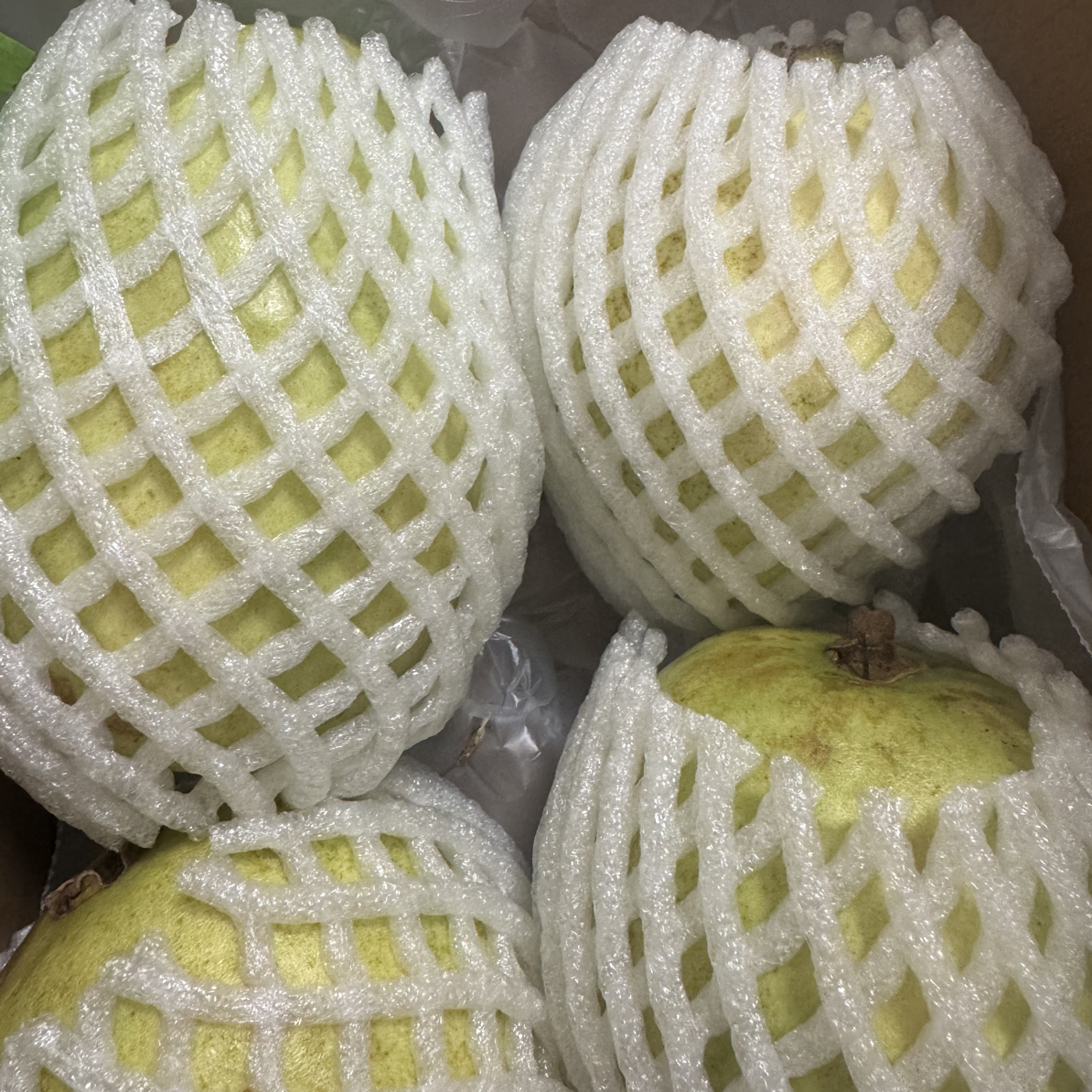 白心奶油芭乐一箱