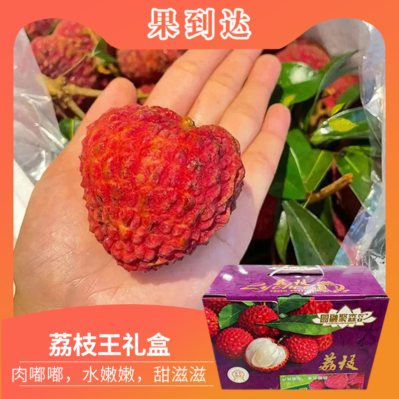 【礼盒】海南荔枝王荔枝净重2斤