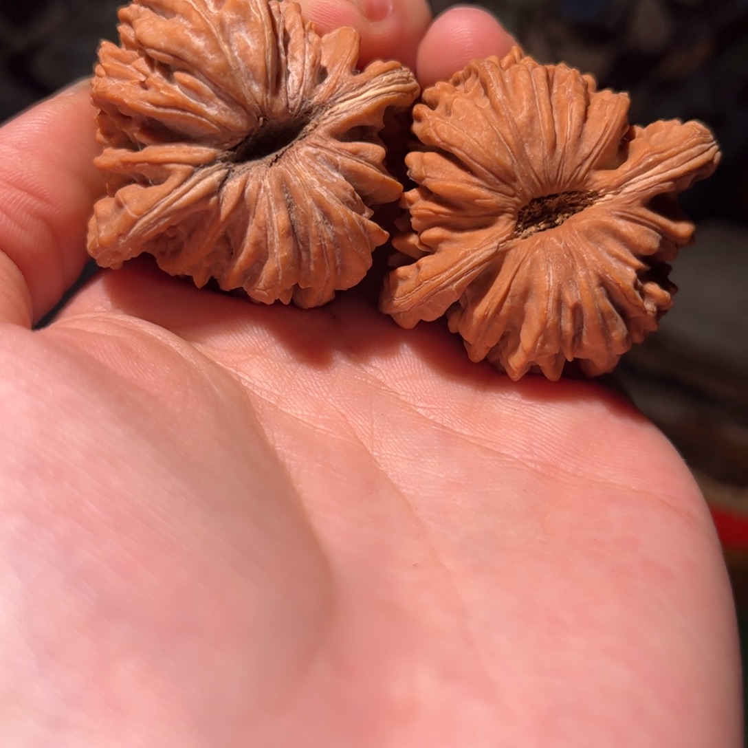 奕***人木质44尺四座楼狮子头