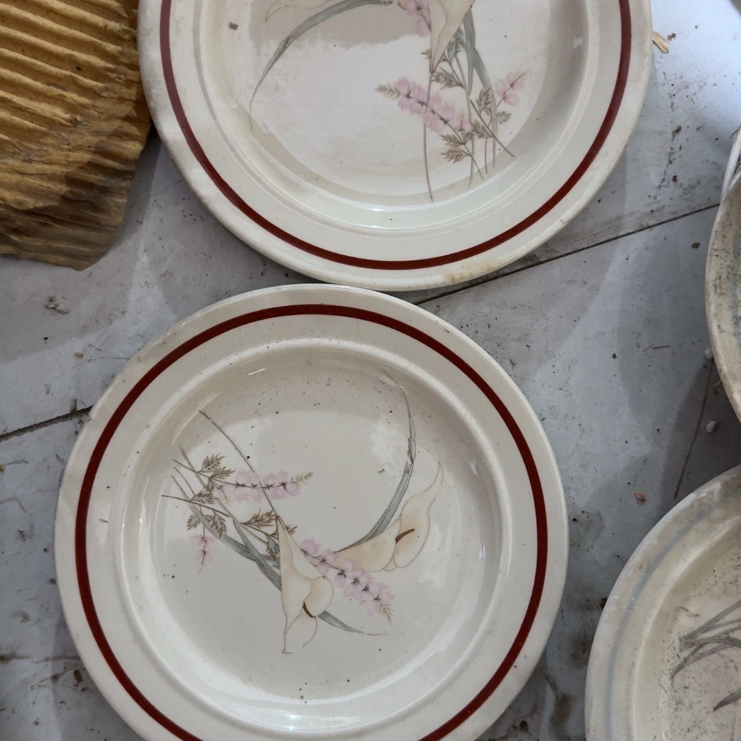 茶盏我们一起看电视呢哈哈不错哟