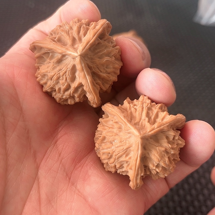 文玩核桃把件38三棱核桃