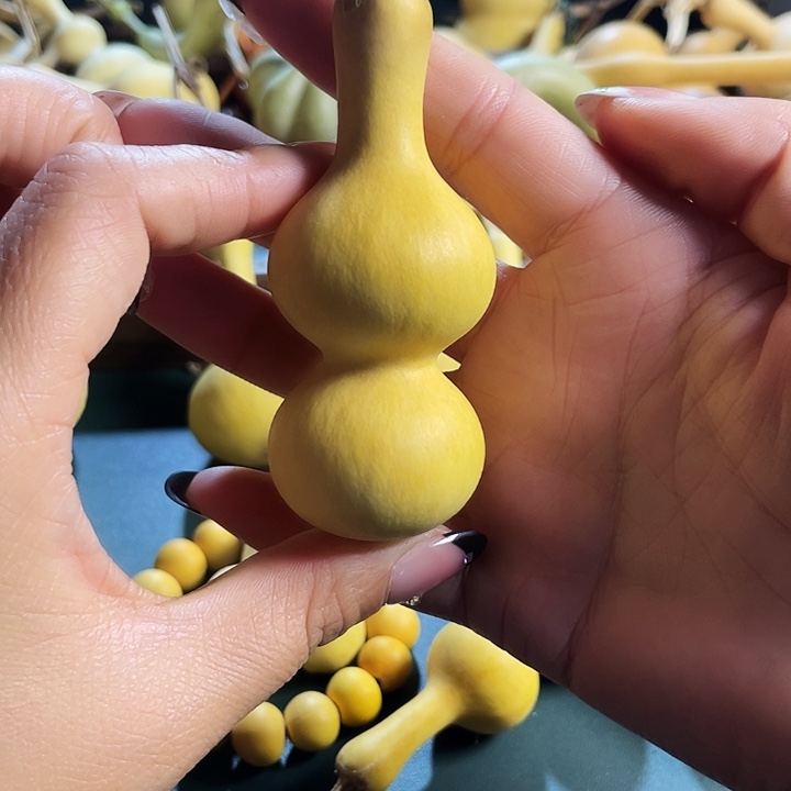 晋***运大叶紫檀（黑酸枝木类）