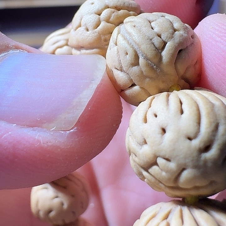 吊坠桃核山西大肠