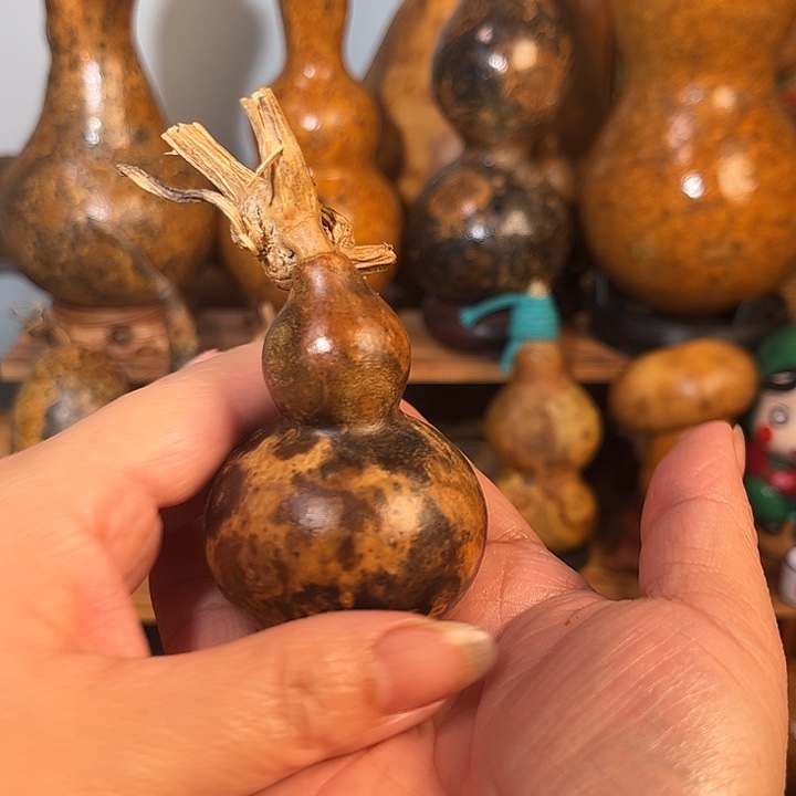 东***》黑金八宝。                