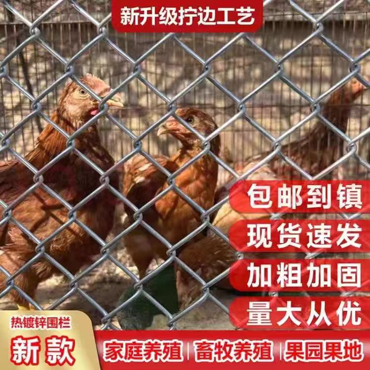 镀锌钢丝网勾花铁丝网养殖围栏网养殖护栏狗牛羊猪菱形不锈防锈网