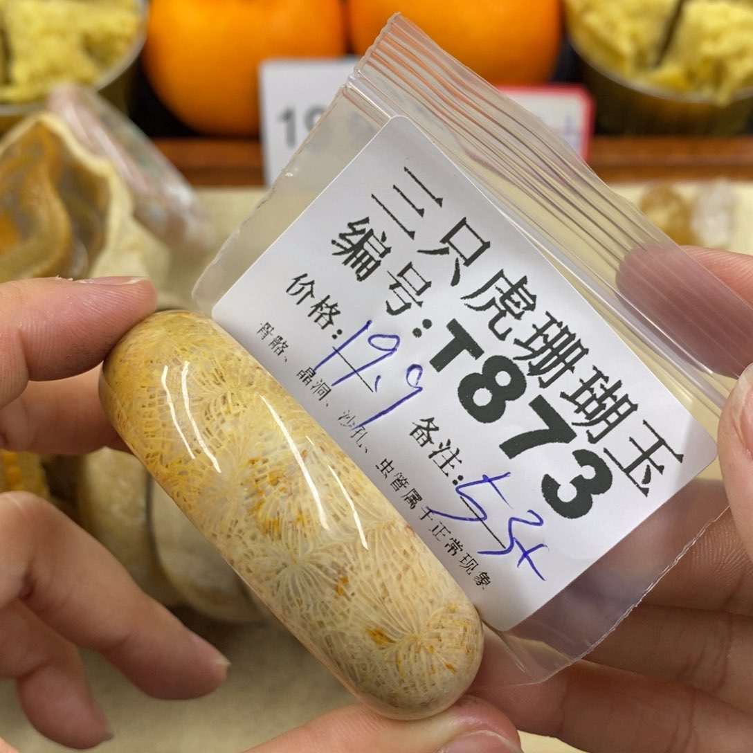 硅化珊瑚（珊瑚玉）1未镶嵌?****