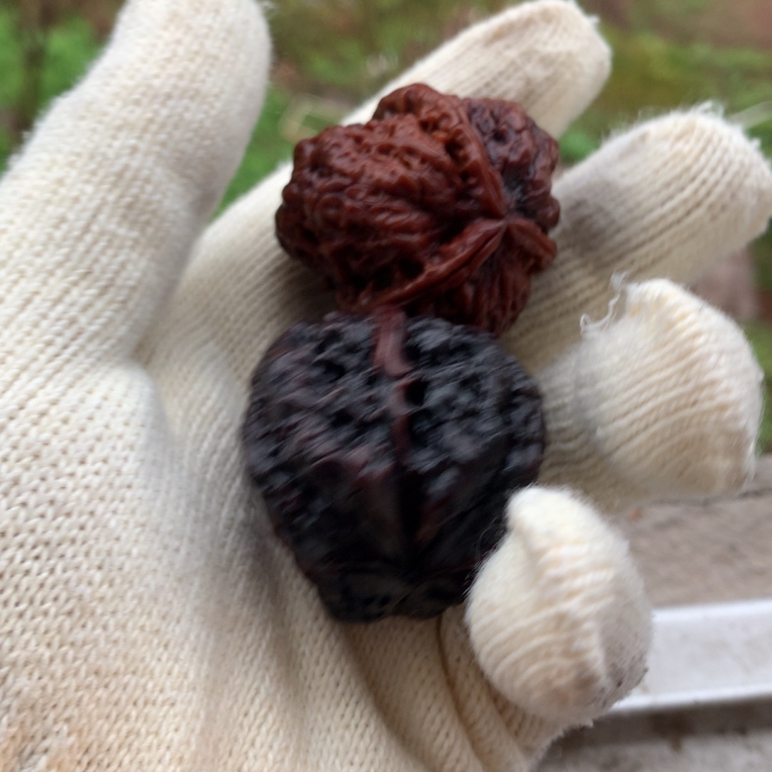 文玩核桃把件九五玄包