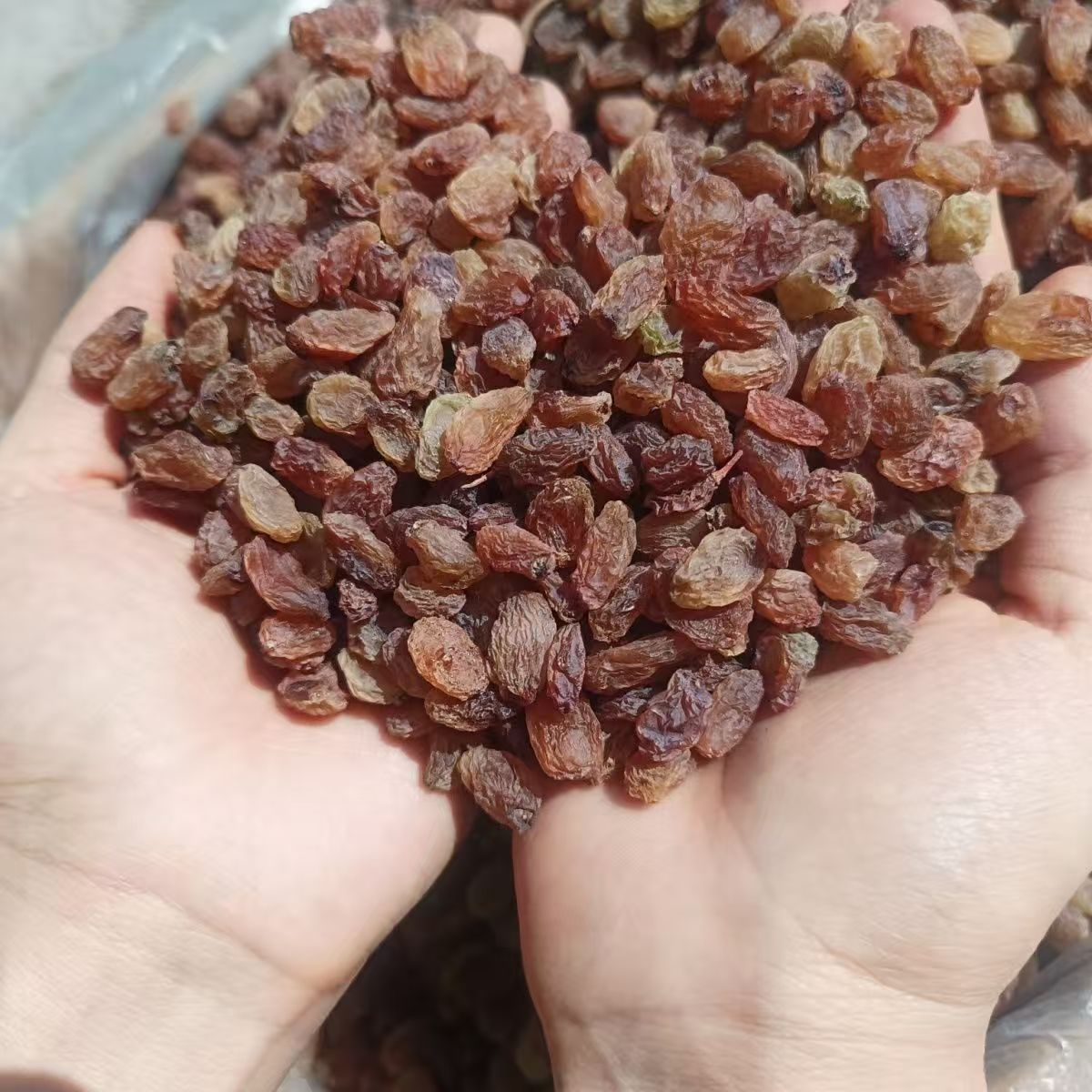 新疆吐鲁番无核白葡萄干饱满酸甜可口500*1袋