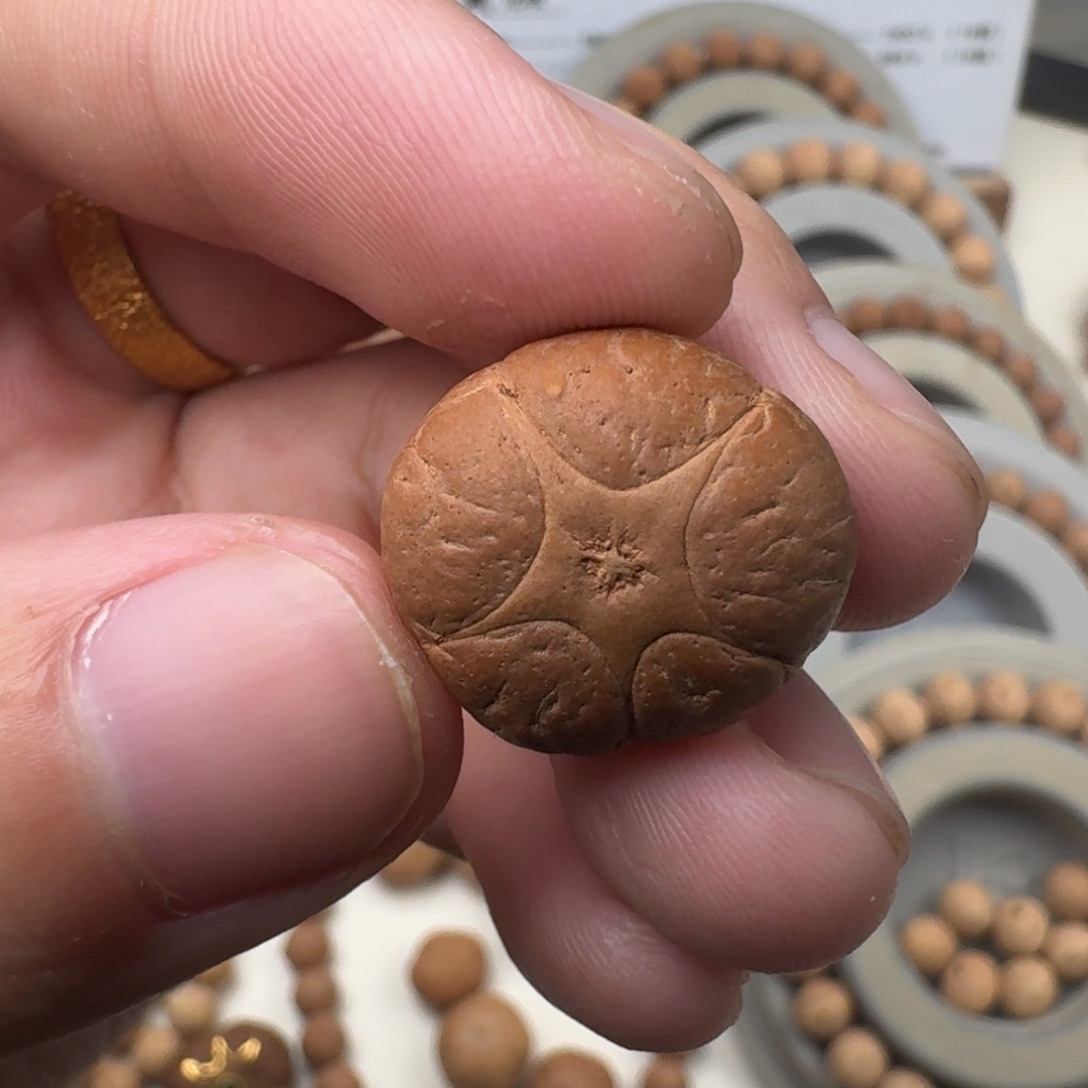 吊坠凤眼菩提19.2/13五星