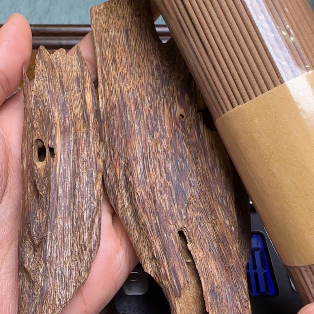 海南琼海虫漏23克重福利