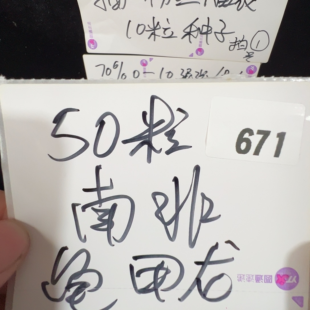 多肉植物专拍植物不退换 一物一拍 671