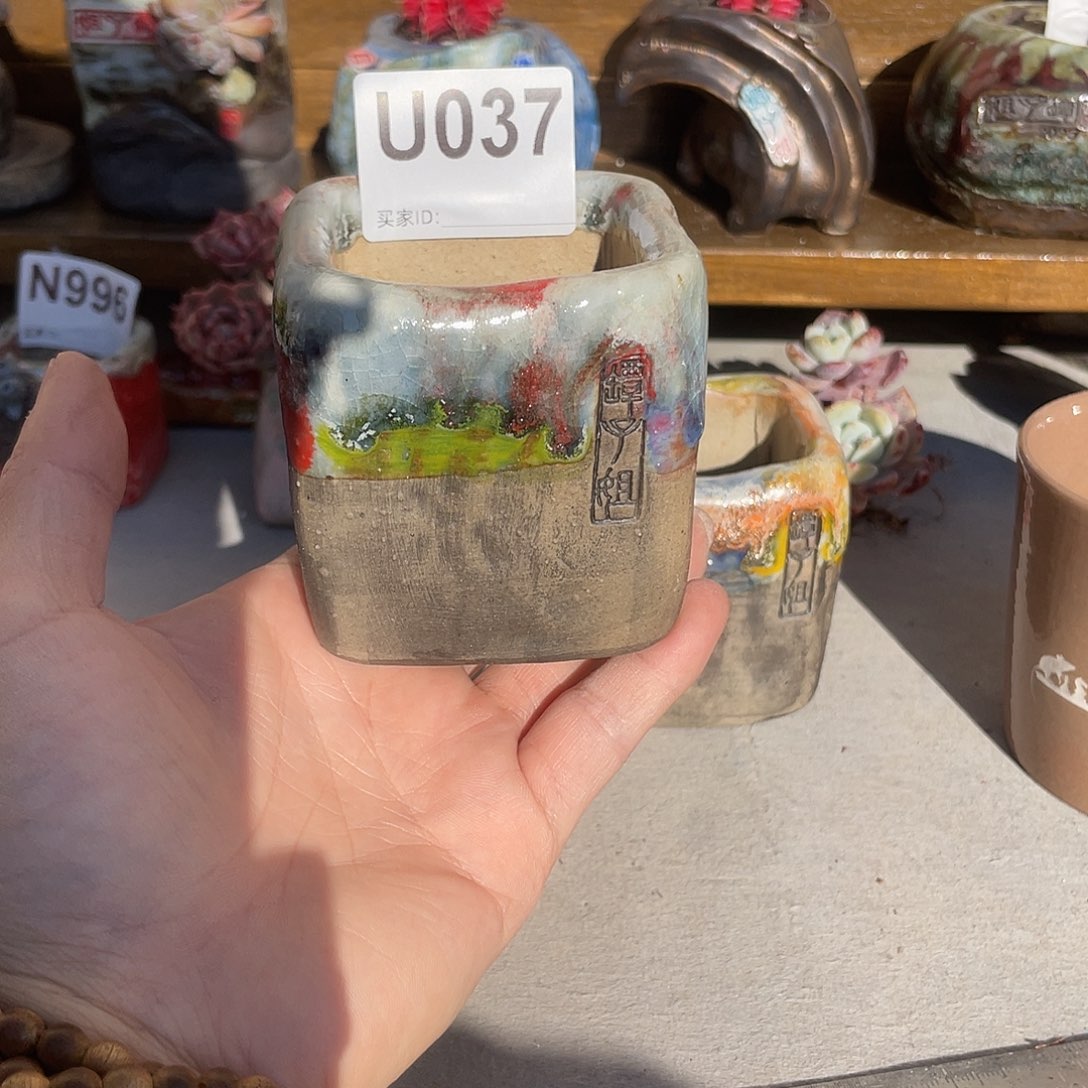 坛子姐多肉花盆内口5