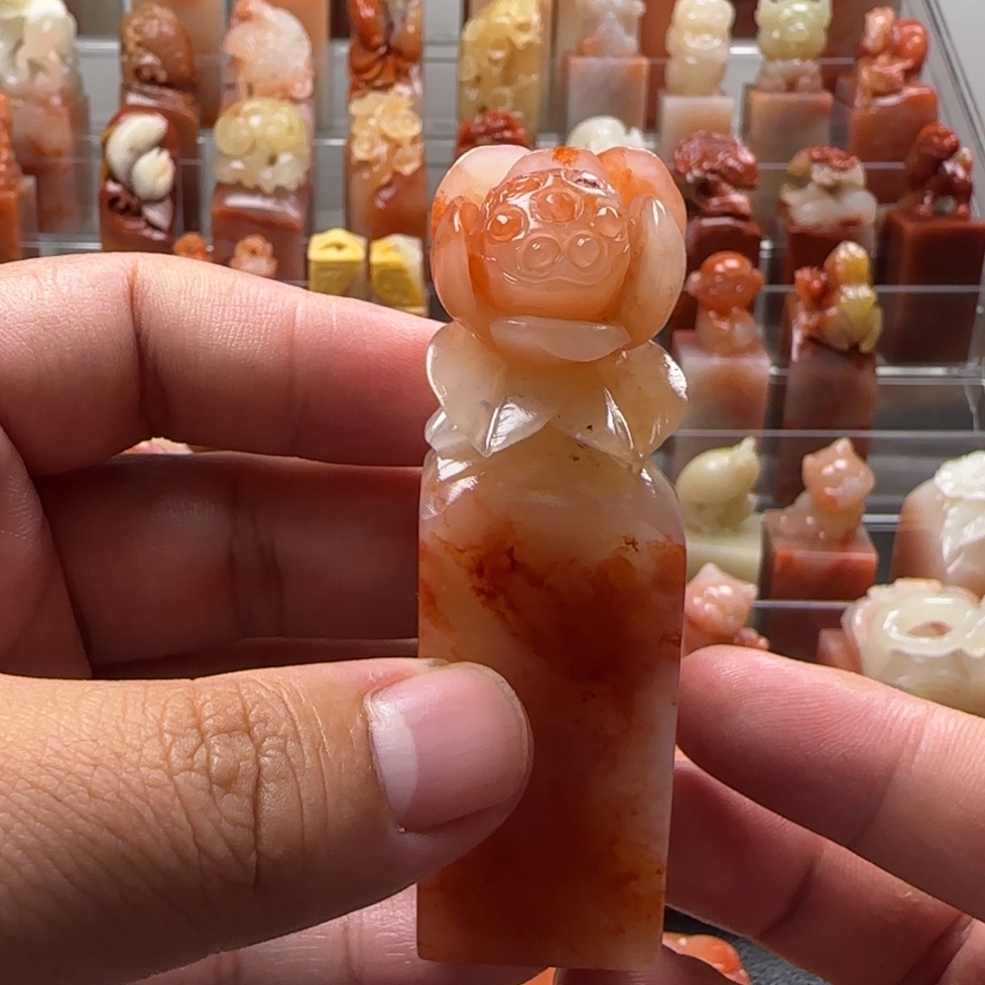 老挝石荷花  2.35×7.7