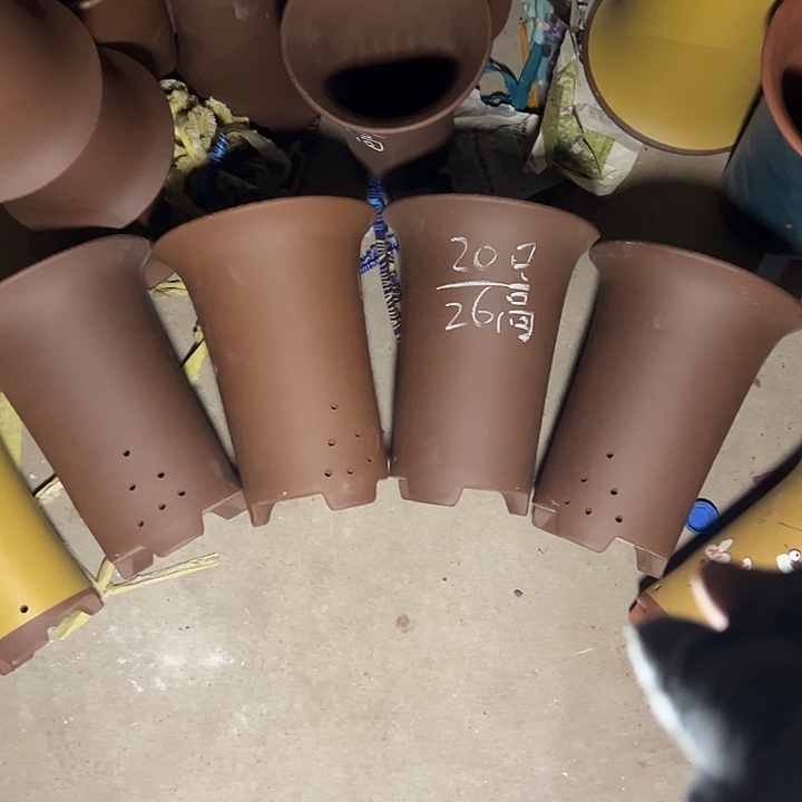 周深周深周深周深 