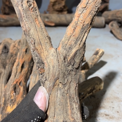 深***鱼大果紫檀（缅甸花梨）