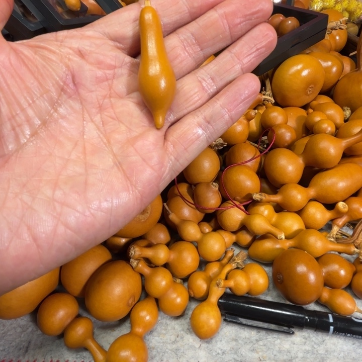 曾***经曾经的一把小一行小一想活葫芦