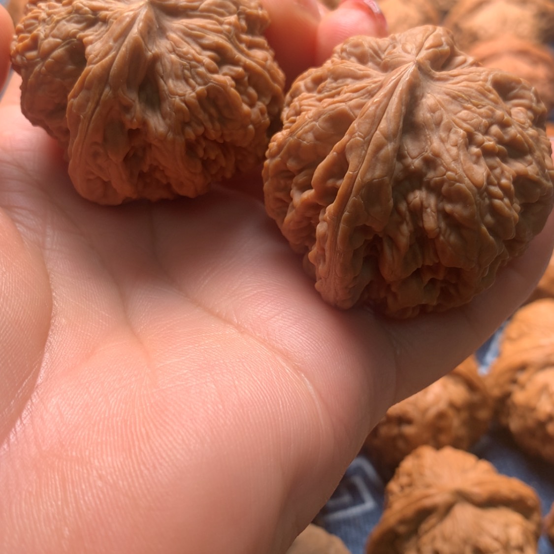 【闪购商品】把件文玩核桃粗筋42