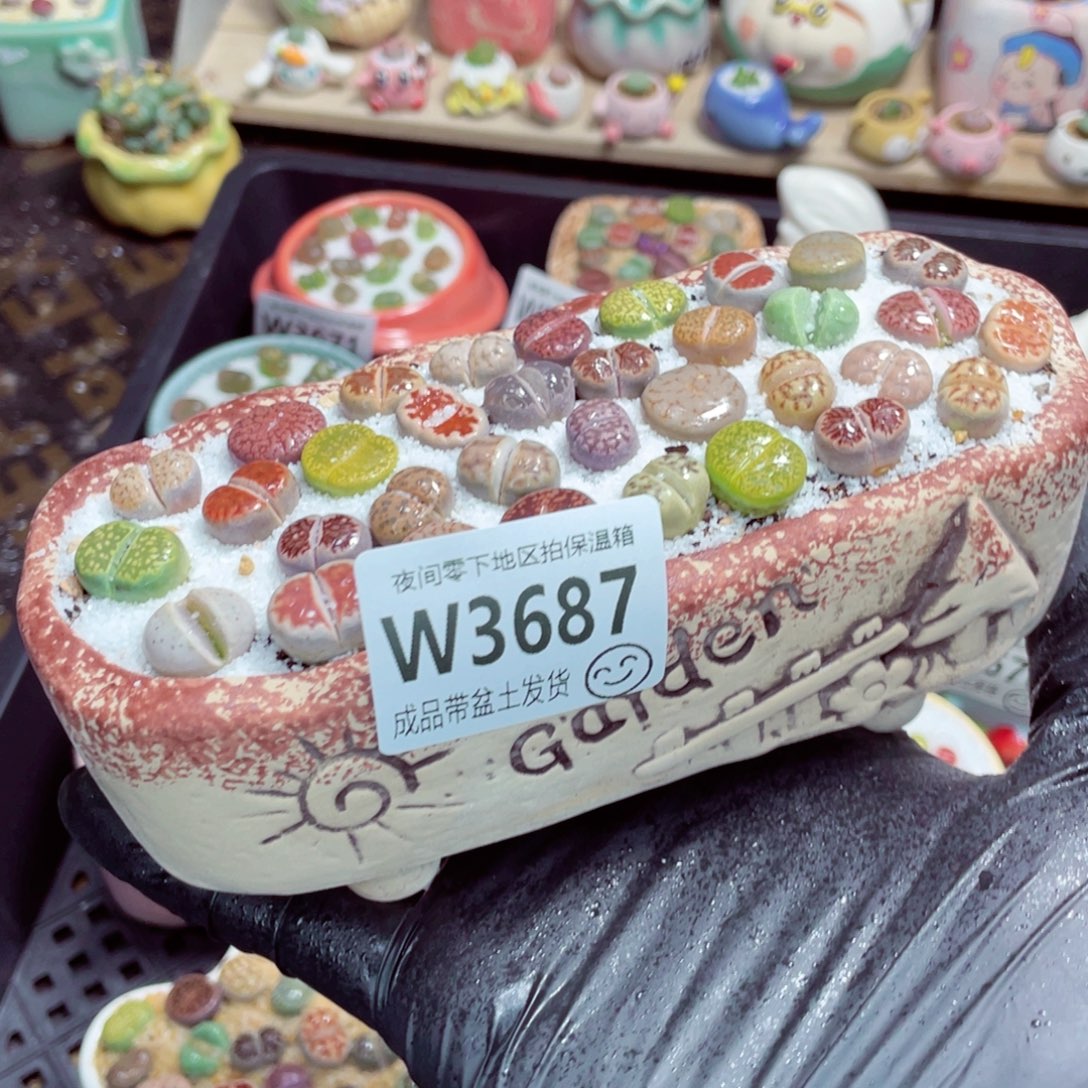 夜间零下地区拍保温箱w3687