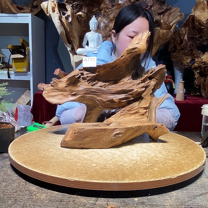 文*｀777株木的随行的根艺