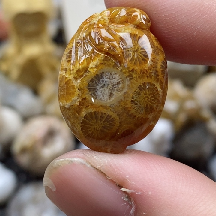 颈饰未镶嵌硅化珊瑚（珊瑚玉）小