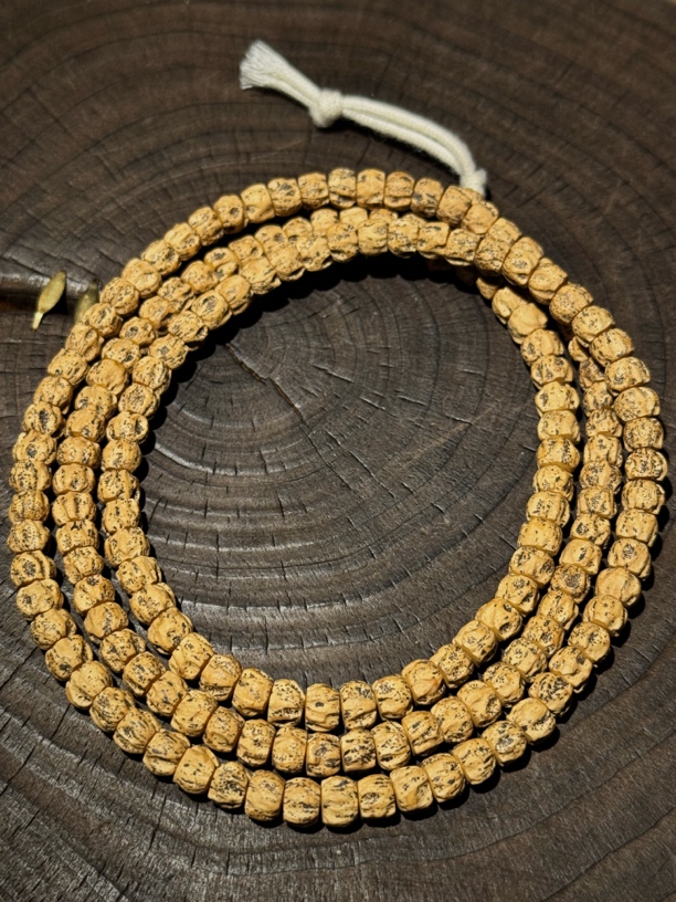 |柏香籽|百香籽|文玩|龙脊|