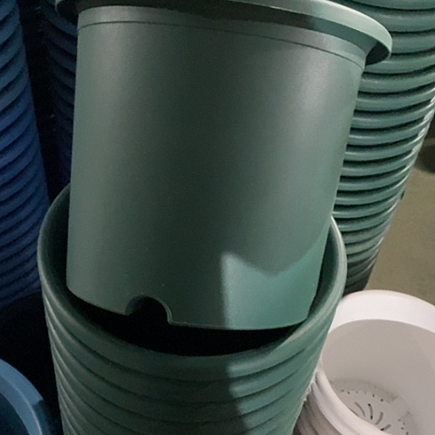 树脂微瑕6号7个无托祖母绿