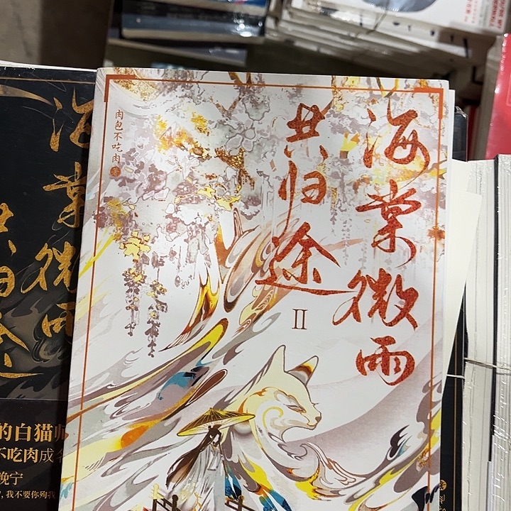 海棠微雨共归途全新全套六本