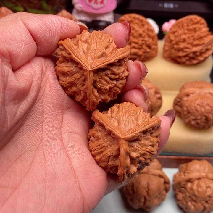 盘山三菱40尺已打底……核桃1