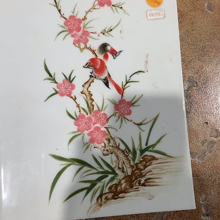 罗***人瓷片zczfxxvffcvvccxxcvvvv