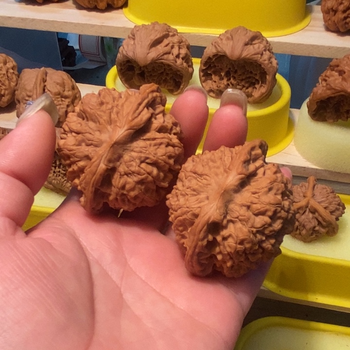 官方网站发布消息