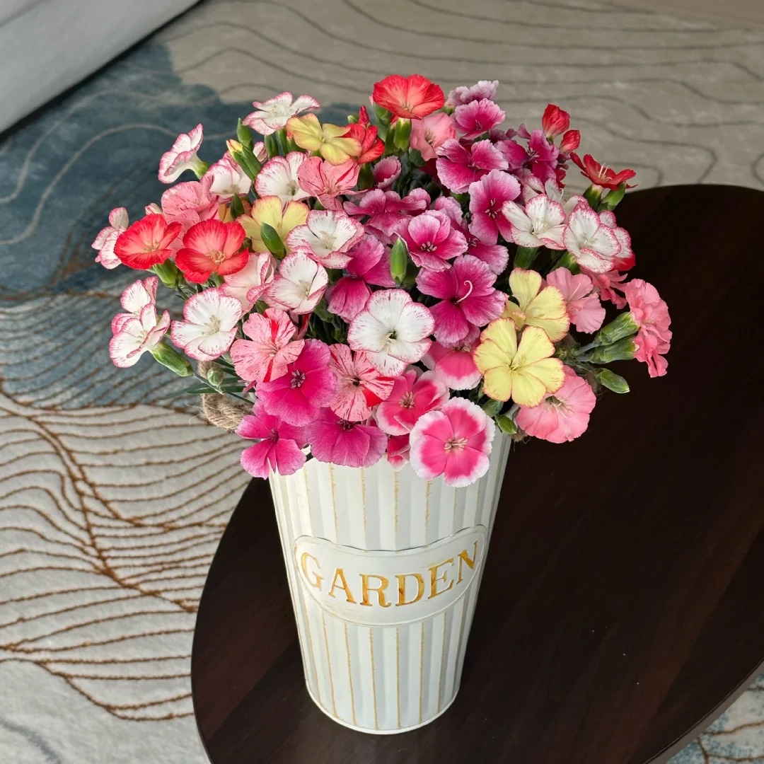 【两个老六卖花】混色多头康乃馨任意2单包邮 发货后不支持退款