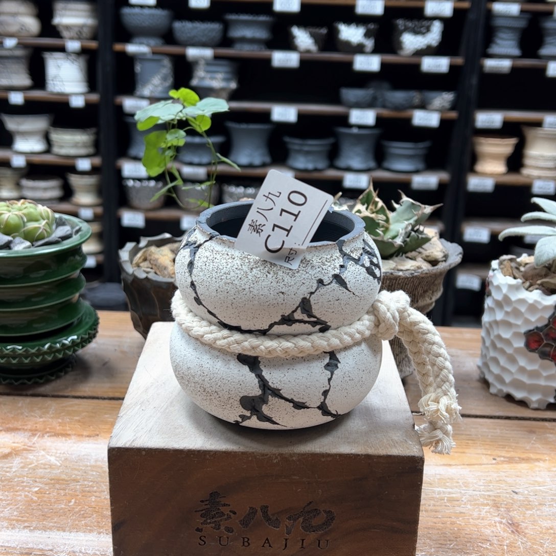 素八九陶瓷内口7高10