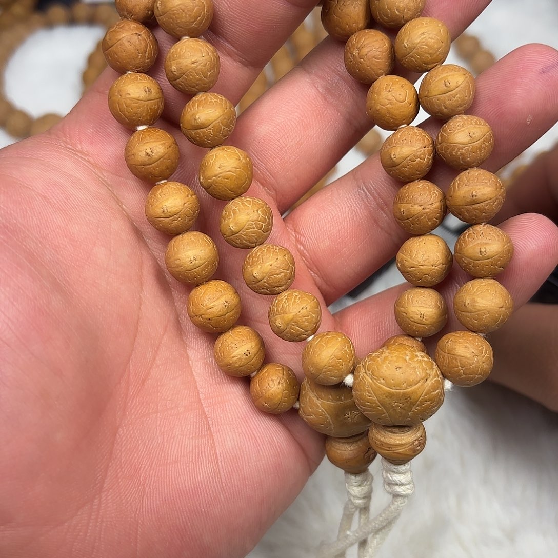 吊坠凤眼菩提小11尺寸凤眼