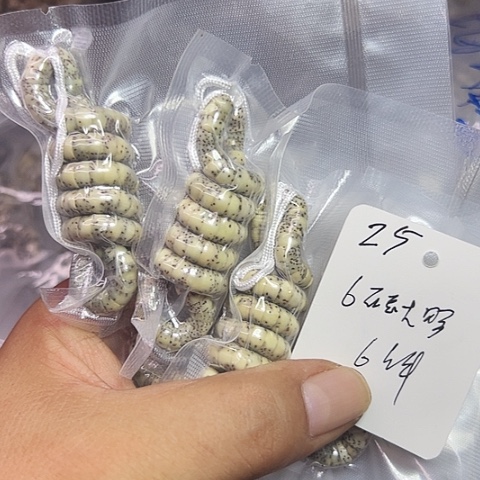 知***还吊坠星月菩提25号