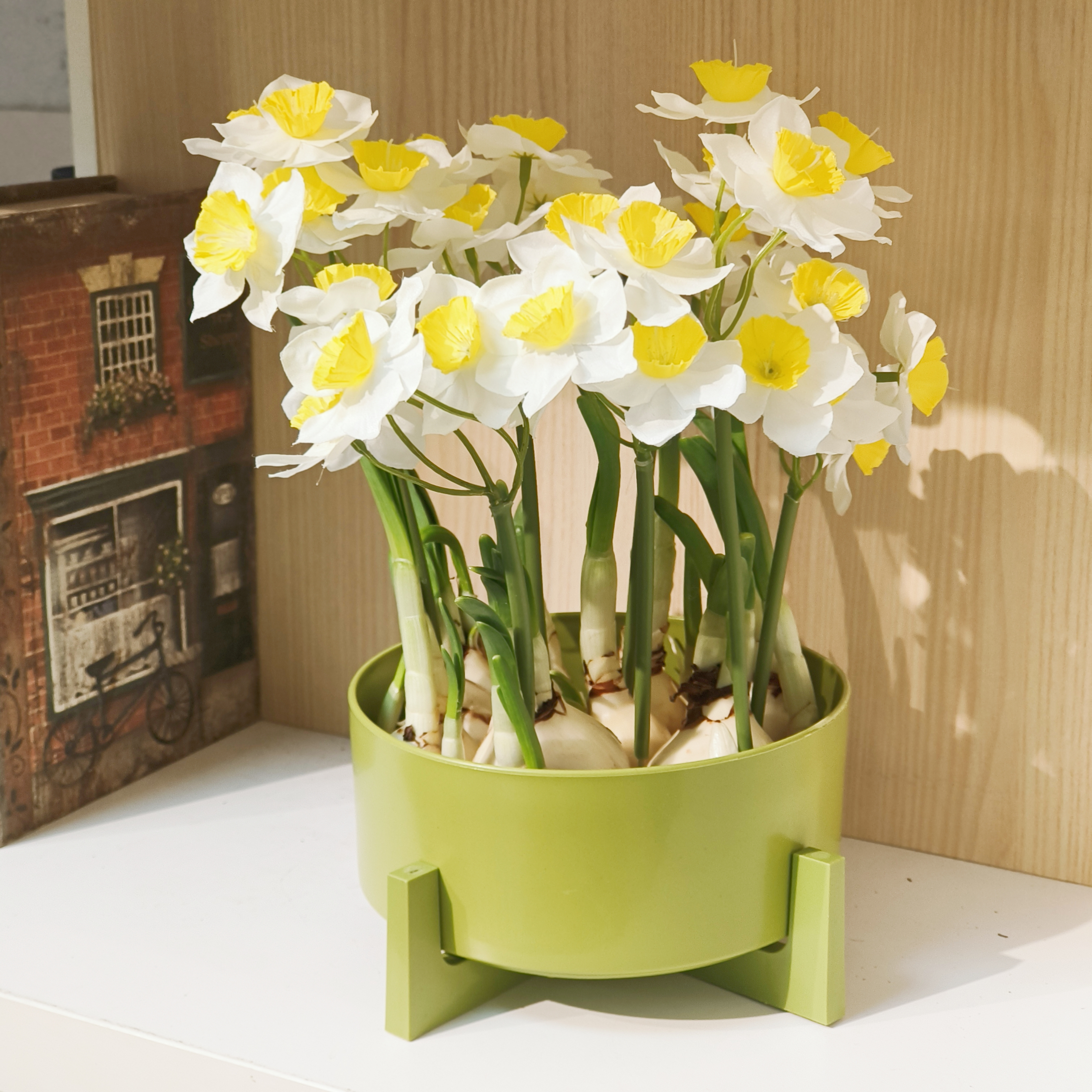 水培水仙花年宵花种球水培盆栽四季开花室内外好养活花卉