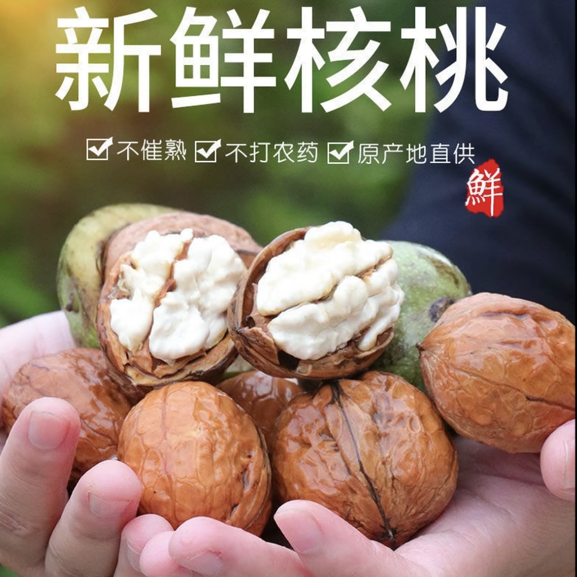 【水果核桃】果王陕西核桃鲜湿核桃鲜食核桃孕妇小孩水果绿皮核桃