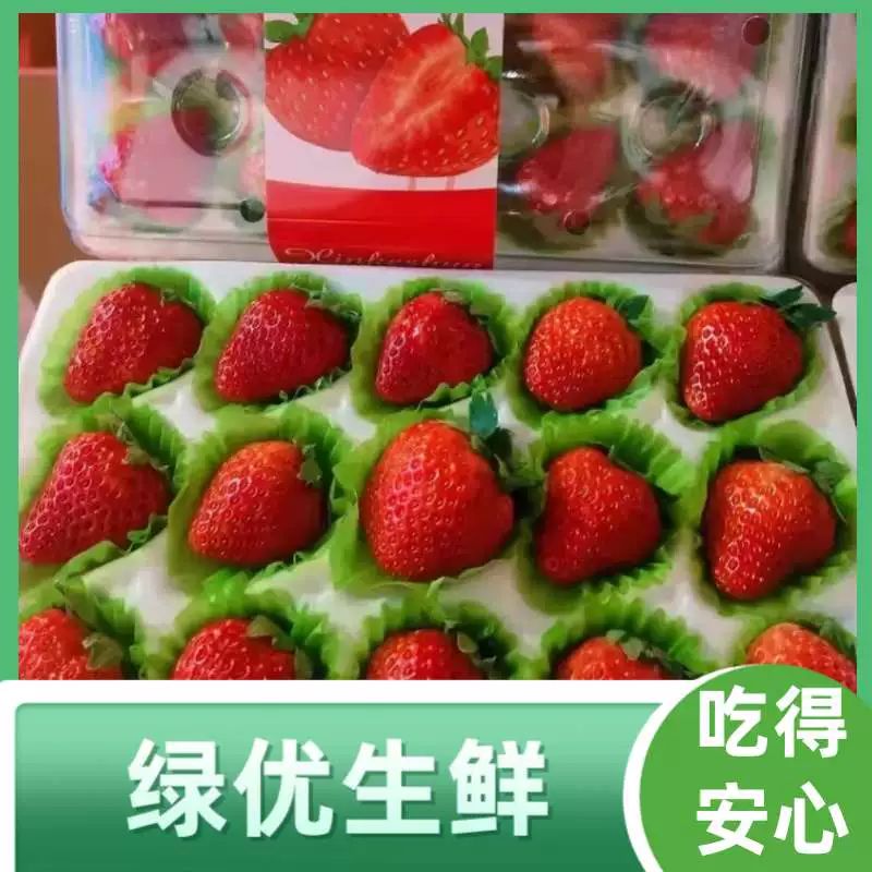 亮盒草莓约350g