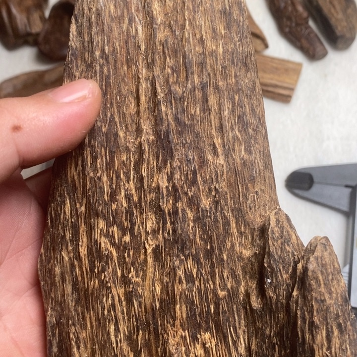 沉香沉香碎屑柬埔寨的