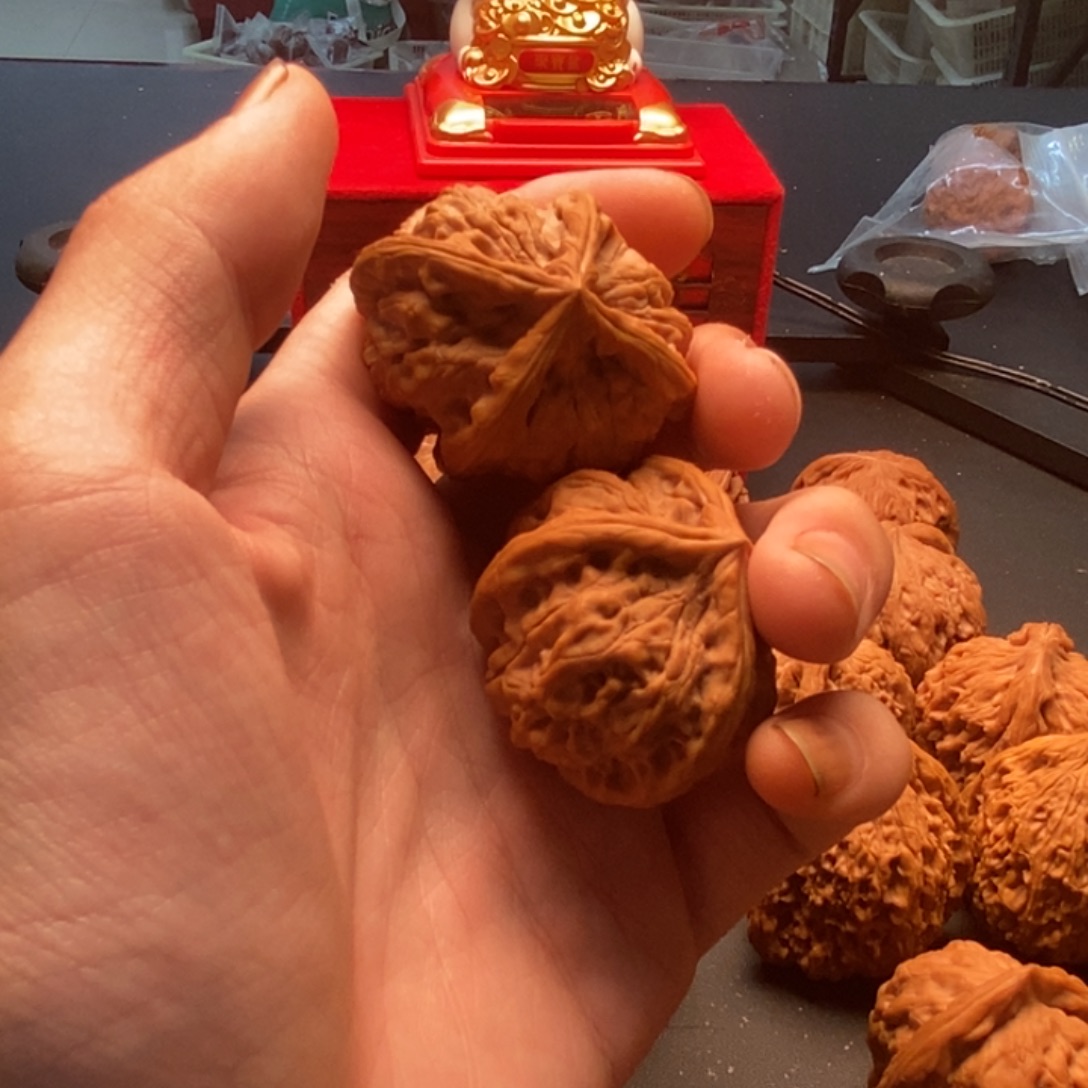 ****^文玩核桃吊坠九龙筋正四